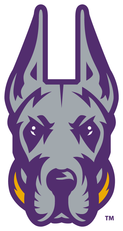 Albany Great Danes 2020-Pres Alternate Logo v7 diy iron on heat transfer